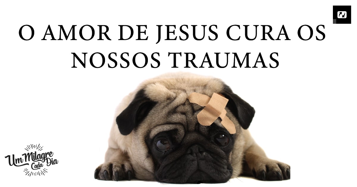 O AMOR DE JESUS CURA OS NOSSOS TRAUMAS 